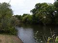 2014-1026-1220_Cannon_Hill_Common_14C